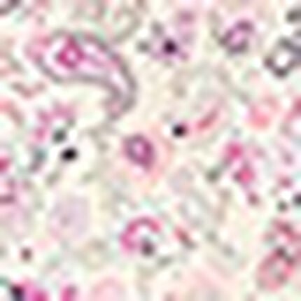 パジャマ, , swatch