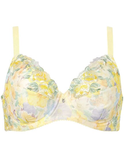 フルカップブラ, , main