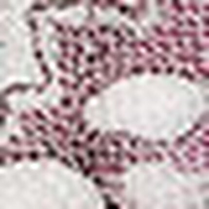 ３／４カップブラ, , swatch