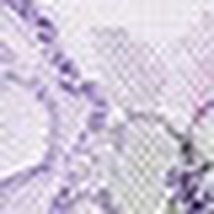 ショーツ, , swatch