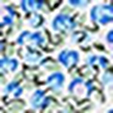 サニタリーショーツ, , swatch