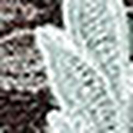 ３／４カップブラ, , swatch