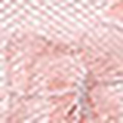 Ｔバックショーツ, , swatch