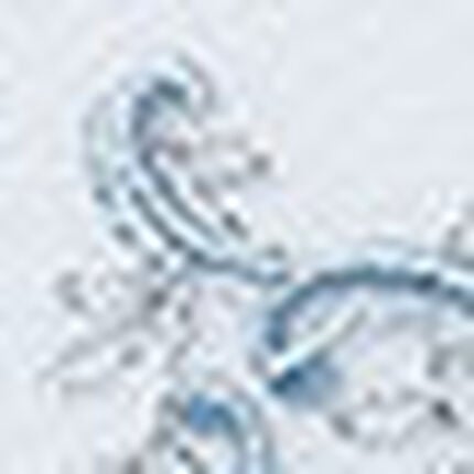 ショーツ, , swatch