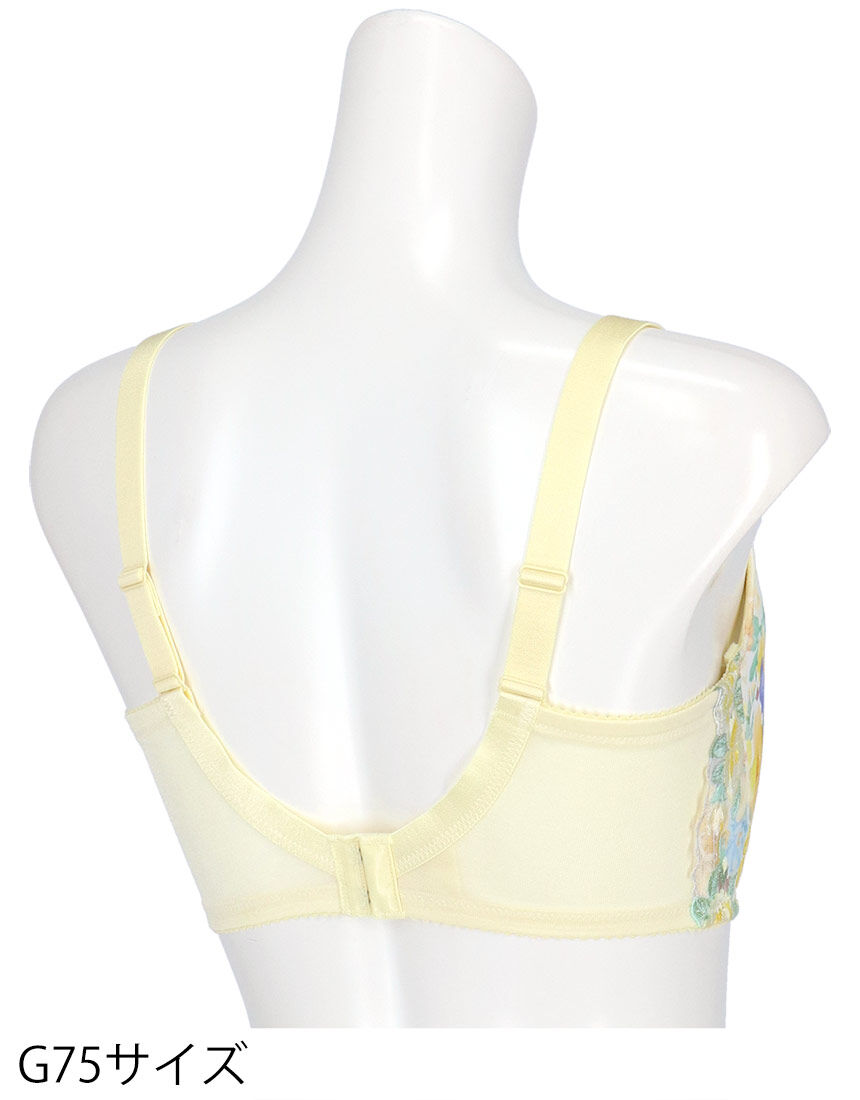 ４／５カップブラ, , hi-res