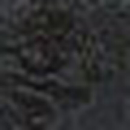 ショーツ, , swatch