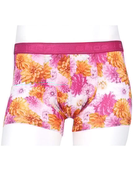 メンズボクサーパンツ, , main