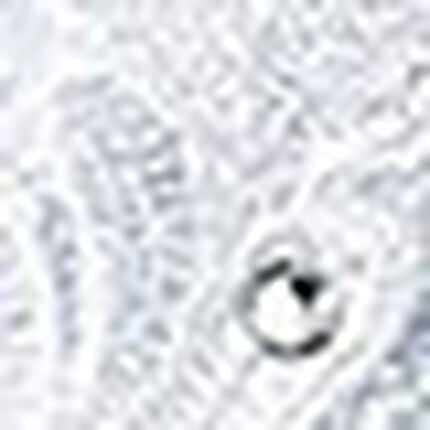 フルカップブラ, , swatch