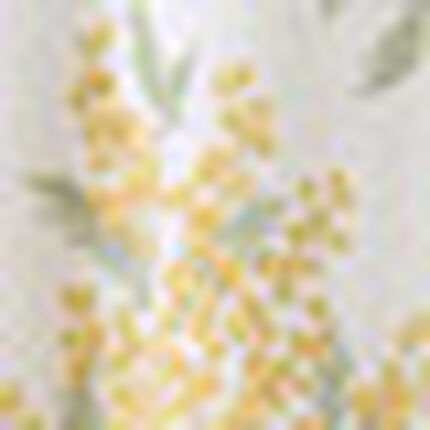 ルームウェア, , swatch