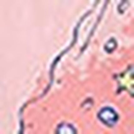 トップス, , swatch