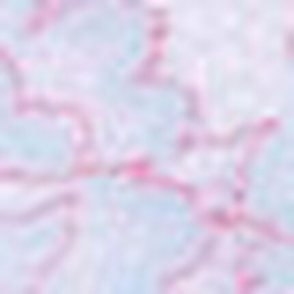 マタニティノンワイヤーブラ（産前・産後）, , swatch