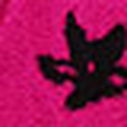 ボトムス（毛パン）, , swatch