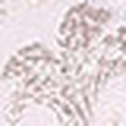 ３／４カップブラ, , swatch