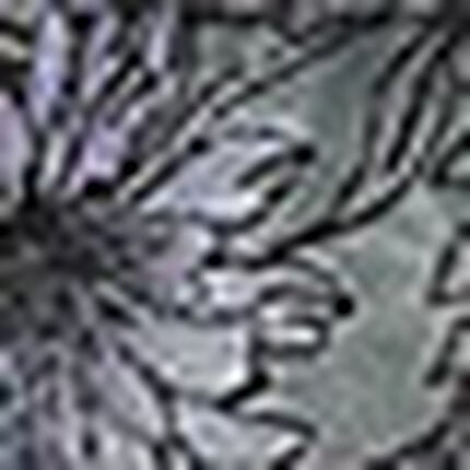 ショーツ, , swatch