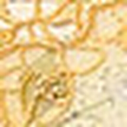 ショーツ, , swatch