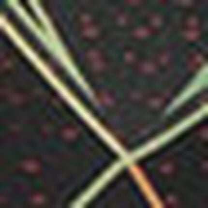 スポーツタイツ, , swatch