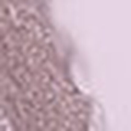 ３／４カップブラ, , swatch