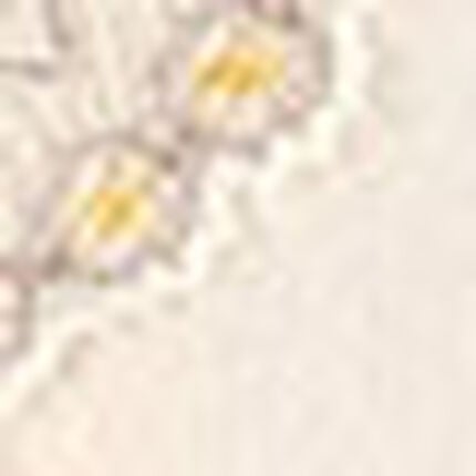 ショーツ, , swatch