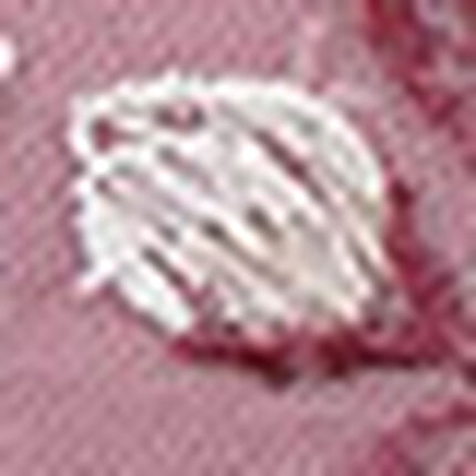 ショーツ, , swatch