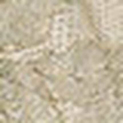 ショーツ, , swatch