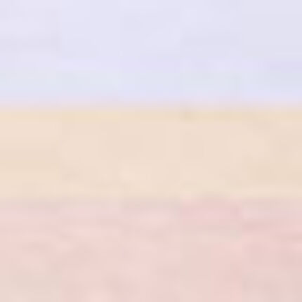 レディスショーツ, , swatch