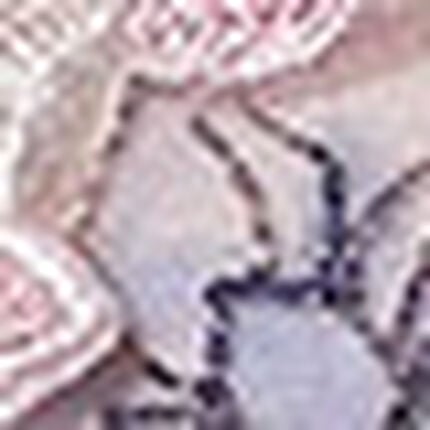 Ｔバックショーツ, , swatch