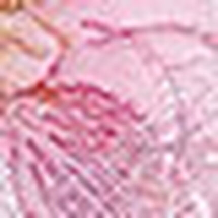 ボーイレングスショーツ, , swatch