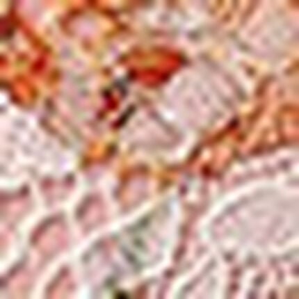 Ｔバックショーツ, , swatch