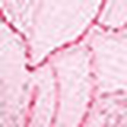 ３／４カップブラ, , swatch