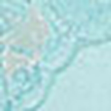 マタニティショーツ（産前・産後）, , swatch