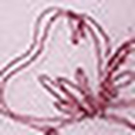 サニタリーショーツ, , swatch