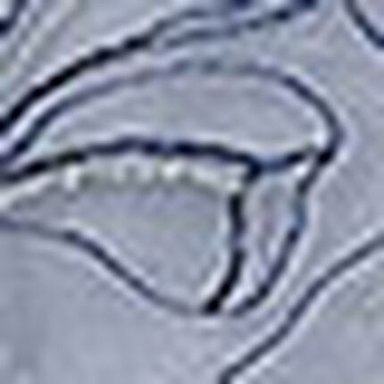 Ｔバックショーツ, , swatch