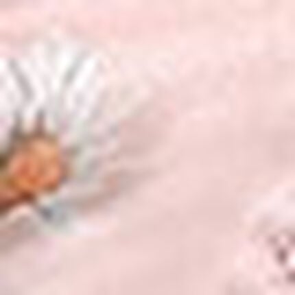 Ｔバックショーツ, , swatch