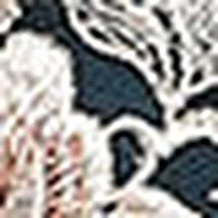 ３／４カップブラ, , swatch