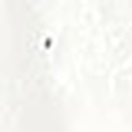 スリップ, , swatch