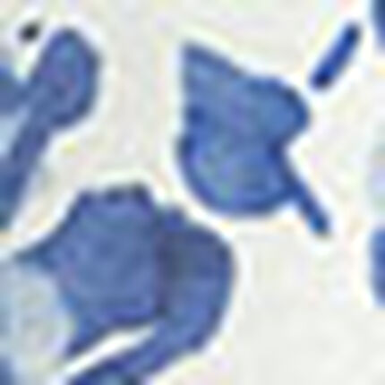 カップ付きプリントタンクトップ, , swatch