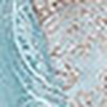 Ｔバックショーツ, , swatch