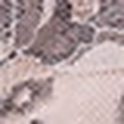 ショーツ, , swatch