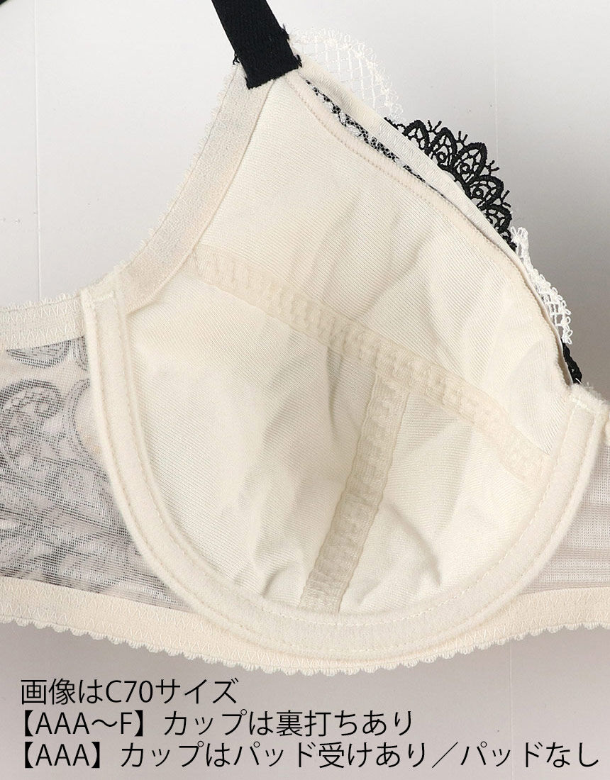 フルカップブラ, , hi-res