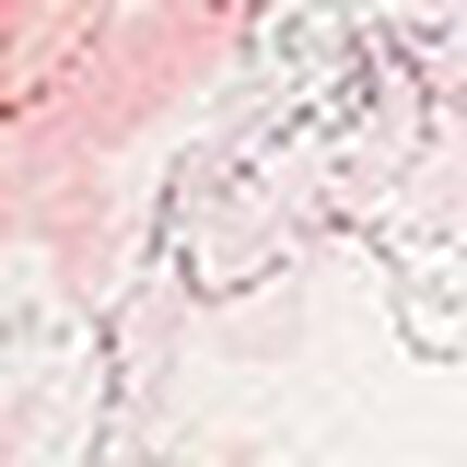 ３／４カップブラ, , swatch