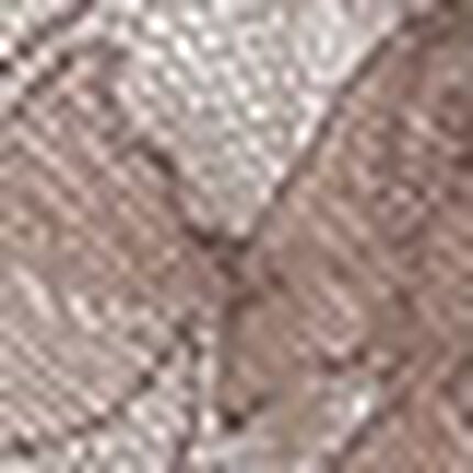 Ｔバックショーツ, , swatch