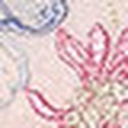 ワイヤーブラ（３／４カップ）, , swatch