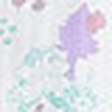 キッズ女児パジャマ　上下セット, , swatch