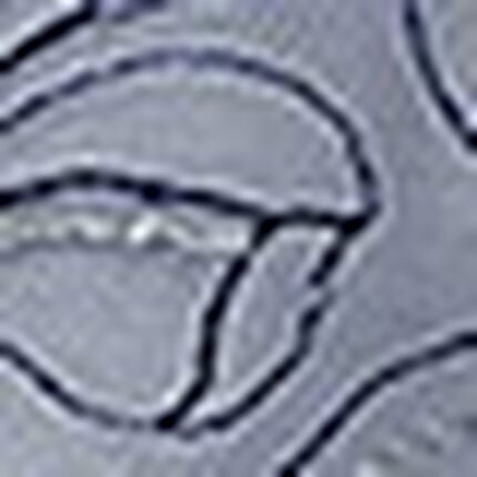 サニタリーショーツ, , swatch