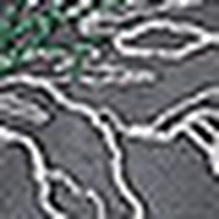 Ｔバックショーツ, , swatch