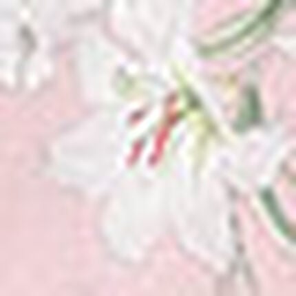 パジャマ, , swatch