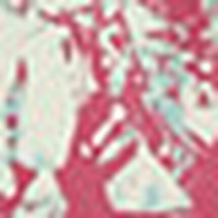 ボクサーパンツ（前閉じ）, , swatch