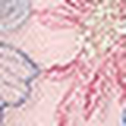 Ｔバックショーツ, , swatch