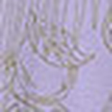 パジャマ, , swatch