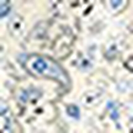 パジャマ, , swatch